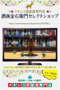 KINEMON